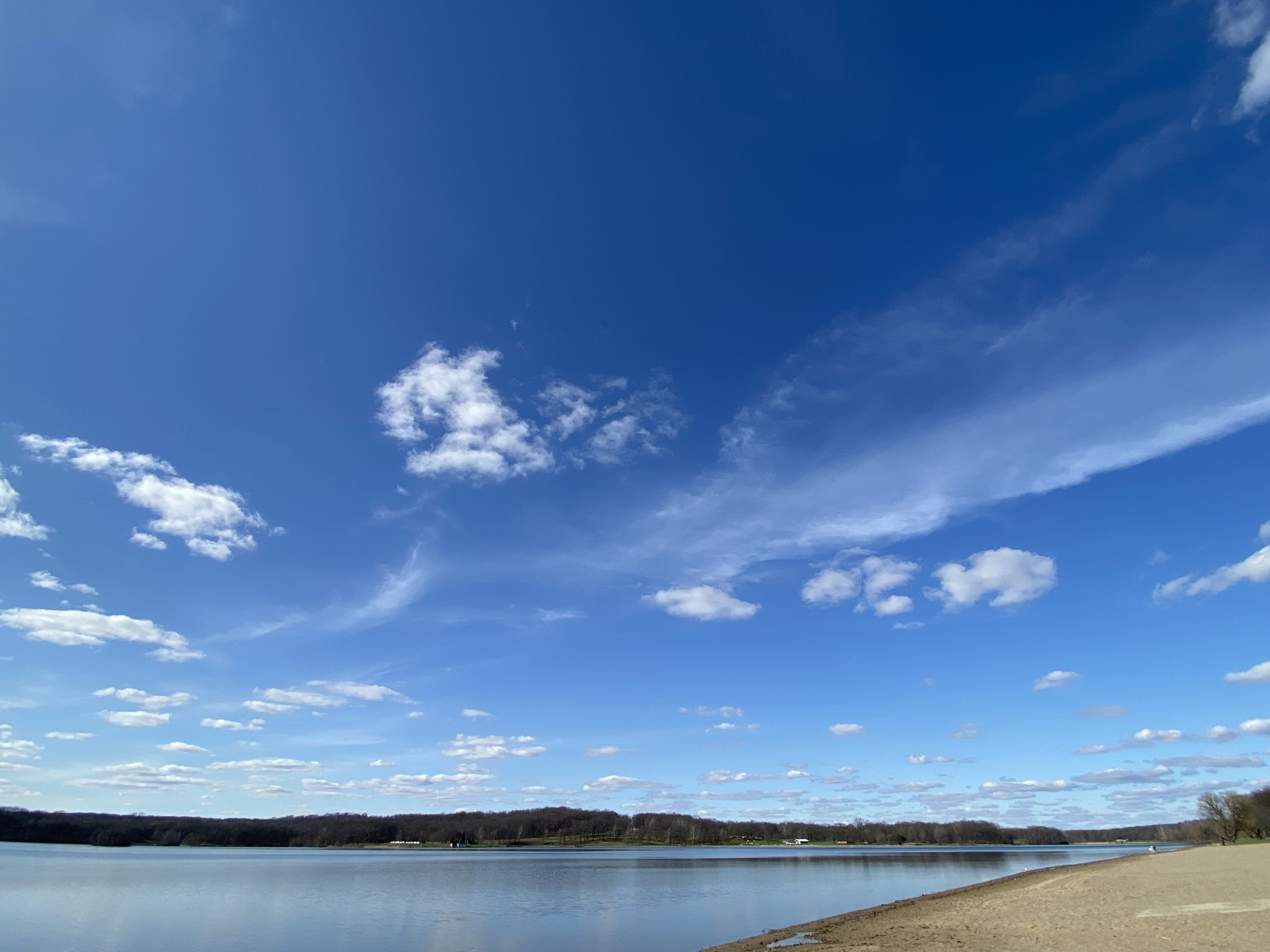 記事の写真